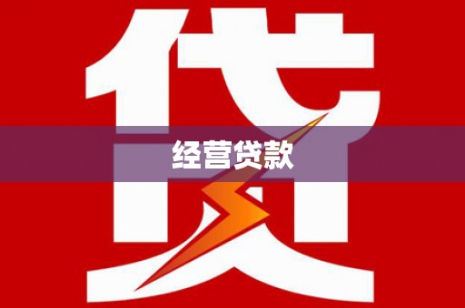 学甲经营贷款