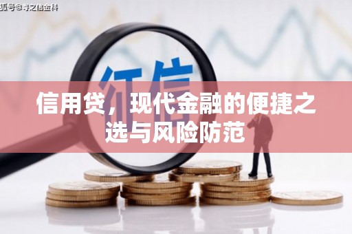 学甲信用贷，现代金融的便捷之选与风险防范