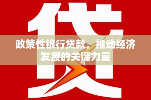 学甲政策性银行贷款，推动经济发展的关键力量