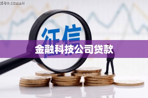 学甲金融科技公司贷款