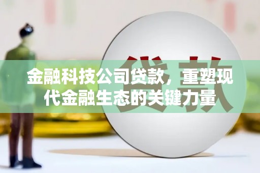 学甲金融科技公司贷款，重塑现代金融生态的关键力量
