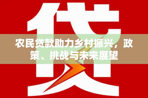 学甲农民贷款助力乡村振兴，政策、挑战与未来展望