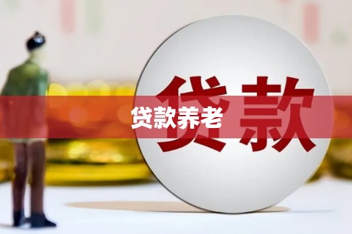 学甲贷款养老