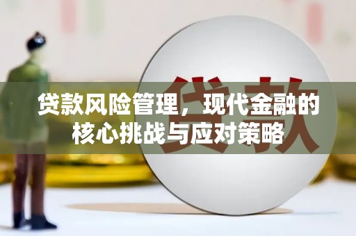 学甲贷款风险管理，现代金融的核心挑战与应对策略