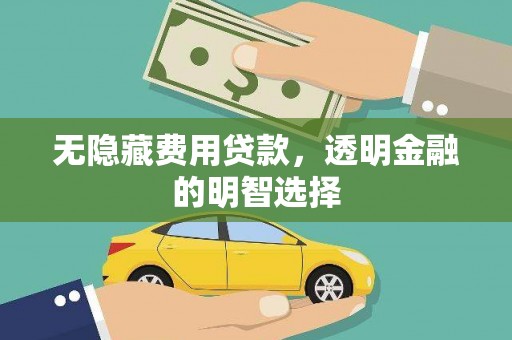 学甲无隐藏费用贷款，透明金融的明智选择