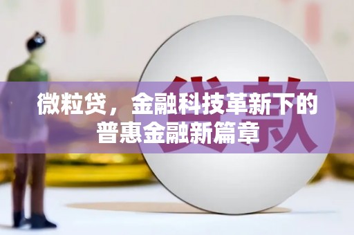 学甲微粒贷，金融科技革新下的普惠金融新篇章