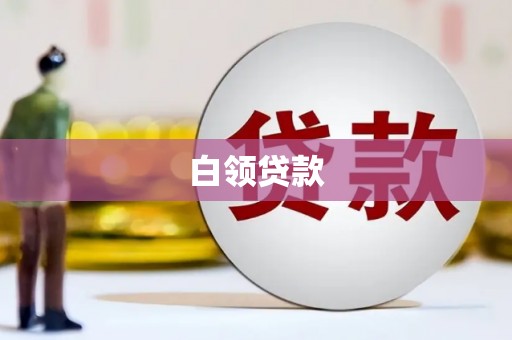 学甲白领贷款