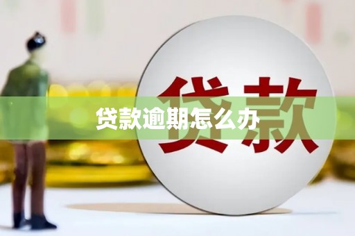 学甲贷款逾期怎么办