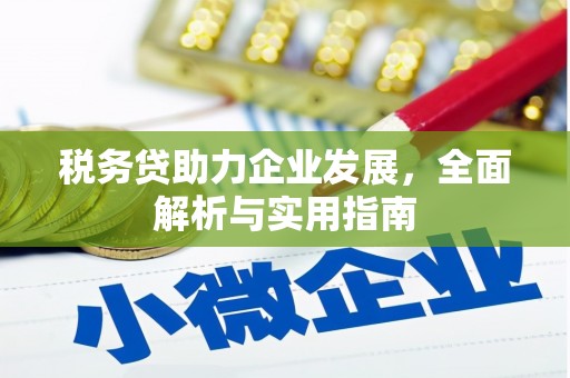 学甲税务贷助力企业发展，全面解析与实用指南