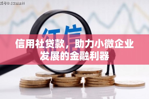 学甲信用社贷款，助力小微企业发展的金融利器