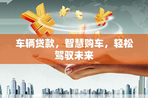 学甲车辆贷款，智慧购车，轻松驾驭未来