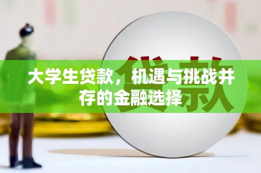 学甲大学生贷款，机遇与挑战并存的金融选择
