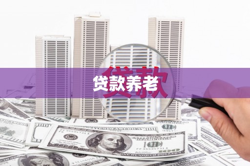 学甲贷款养老