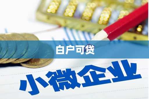 学甲白户可贷