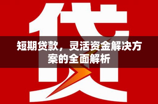 学甲短期贷款，灵活资金解决方案的全面解析