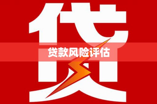 学甲贷款风险评估