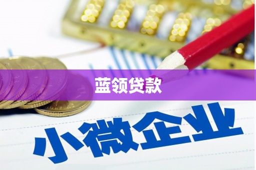 学甲蓝领贷款