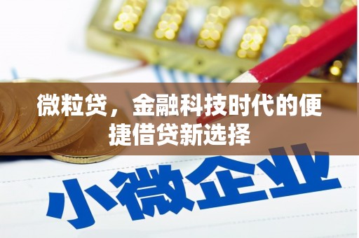 学甲微粒贷，金融科技时代的便捷借贷新选择