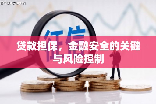学甲贷款担保，金融安全的关键与风险控制