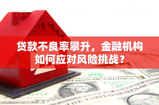 学甲贷款不良率攀升，金融机构如何应对风险挑战？