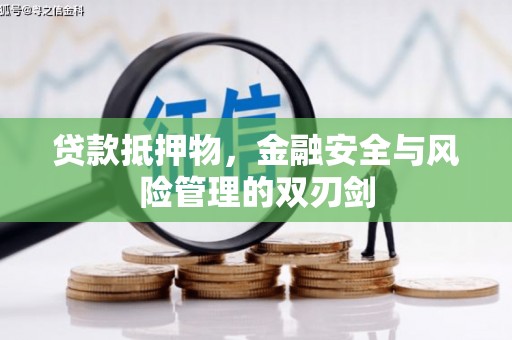 学甲贷款抵押物，金融安全与风险管理的双刃剑