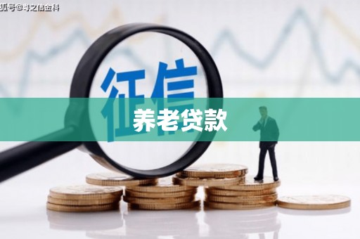 学甲养老贷款