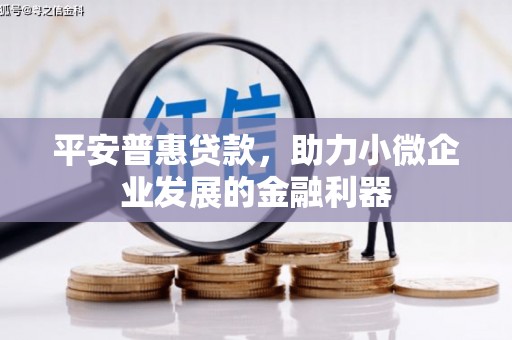 学甲平安普惠贷款，助力小微企业发展的金融利器