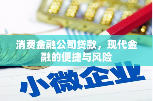 学甲消费金融公司贷款，现代金融的便捷与风险