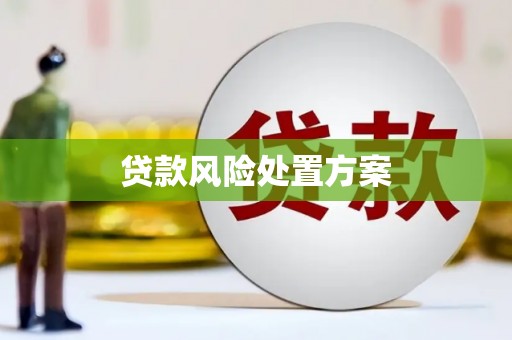 学甲贷款风险处置方案
