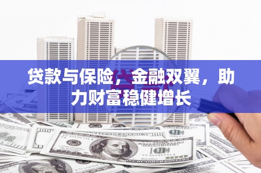 学甲贷款与保险，金融双翼，助力财富稳健增长
