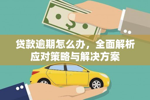 学甲贷款逾期怎么办，全面解析应对策略与解决方案