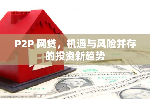 学甲P2P 网贷，机遇与风险并存的投资新趋势