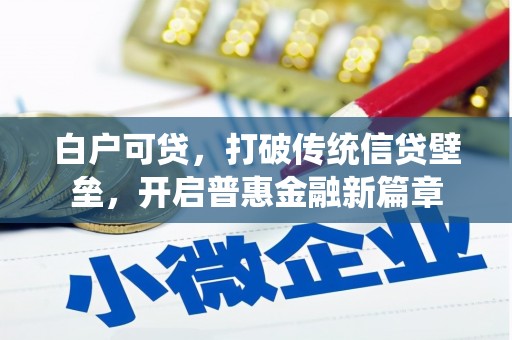 学甲白户可贷，打破传统信贷壁垒，开启普惠金融新篇章