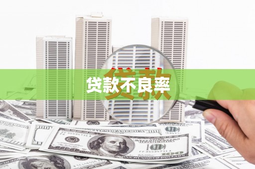学甲贷款不良率