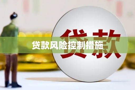 学甲贷款风险控制措施