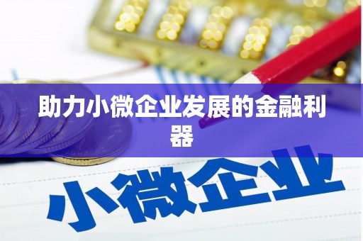 学甲助力小微企业发展的金融利器