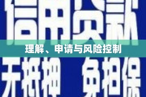 学甲理解、申请与风险控制