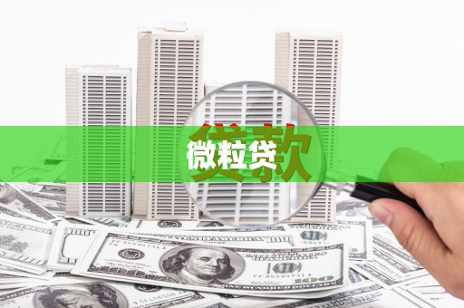 学甲微粒贷