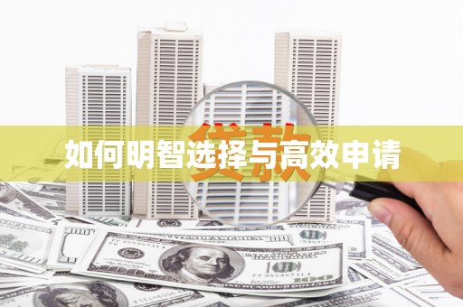 学甲如何明智选择与高效申请