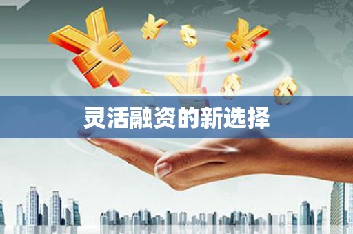 学甲灵活融资的新选择