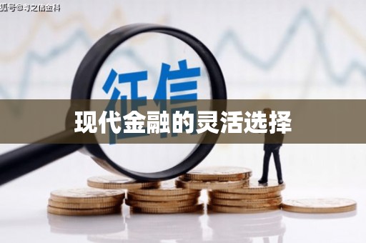 学甲现代金融的灵活选择