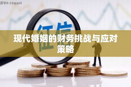 学甲现代婚姻的财务挑战与应对策略