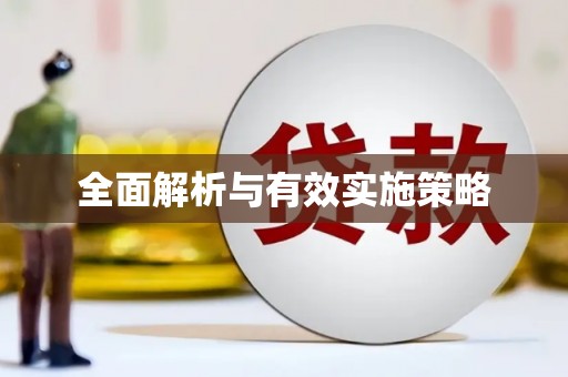 学甲全面解析与有效实施策略