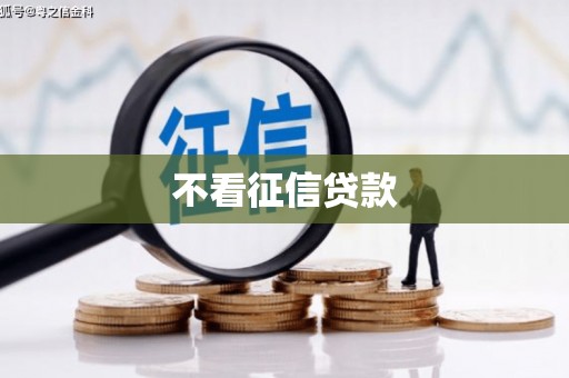 学甲不看征信贷款