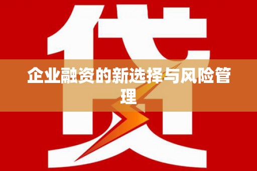 学甲企业融资的新选择与风险管理