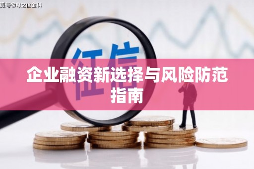 学甲企业融资新选择与风险防范指南