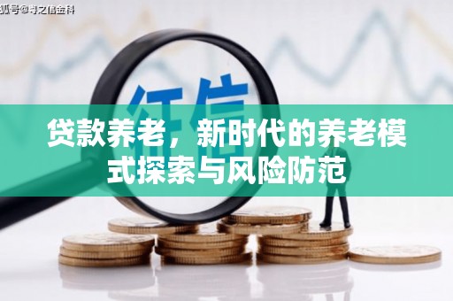 学甲贷款养老，新时代的养老模式探索与风险防范