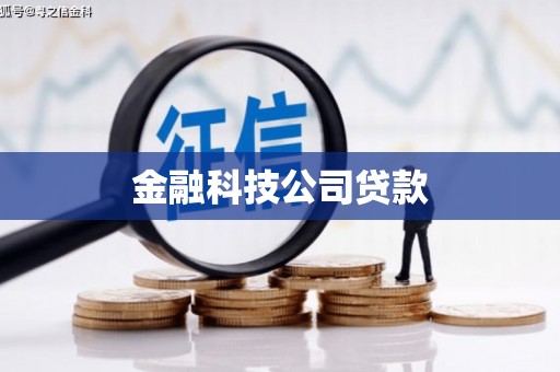 学甲金融科技公司贷款