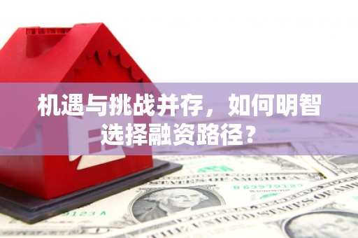 学甲机遇与挑战并存，如何明智选择融资路径？