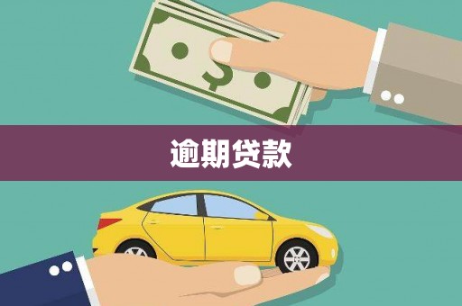 学甲逾期贷款